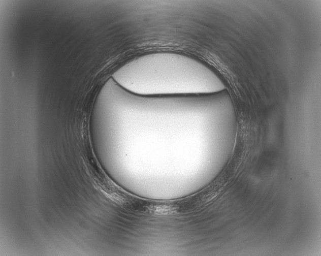 X0000068820165200605050951