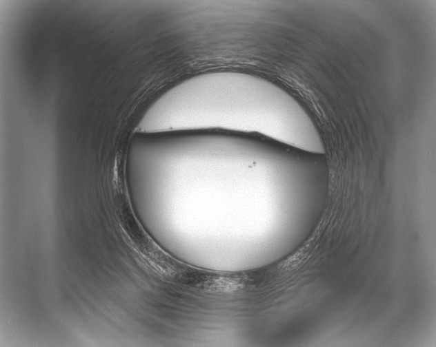 X0000068820166200605050951