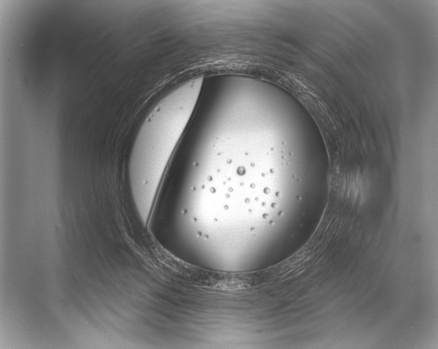 X0000068820168200605050951