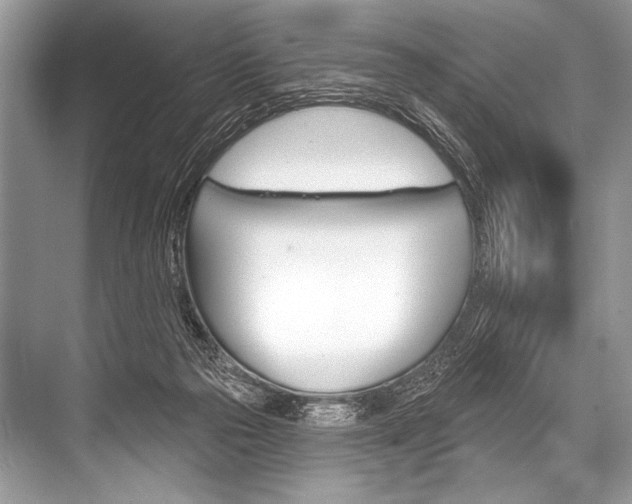 X0000068820169200605050951