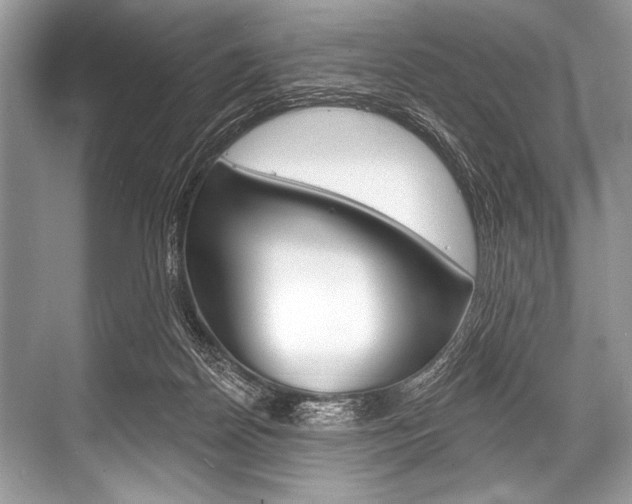 X0000068820170200605050951