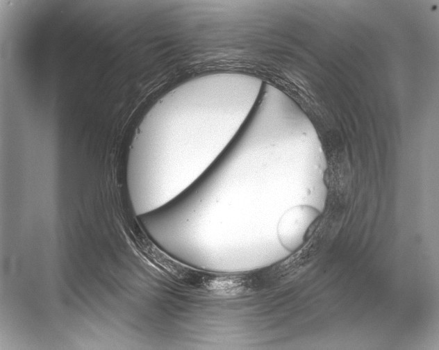 X0000068820171200605050951