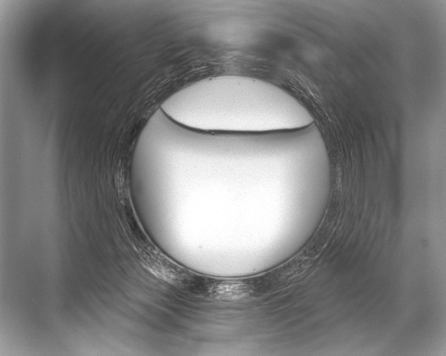 X0000068820173200605050951