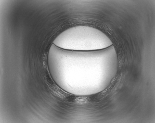 X0000068820175200605050951