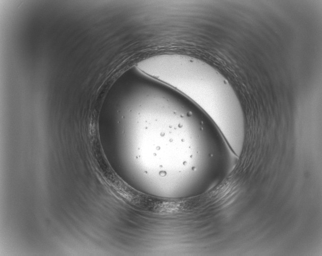 X0000068820176200605050951