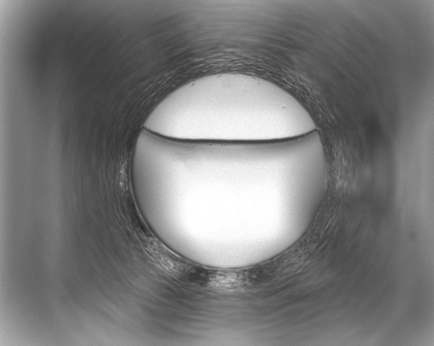 X0000068820177200605050951