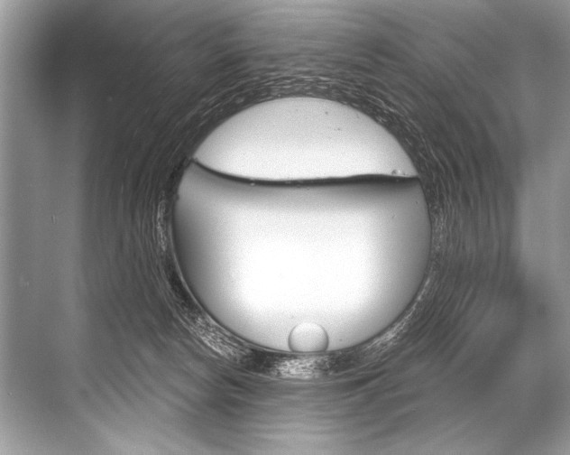 X0000068820178200605050952