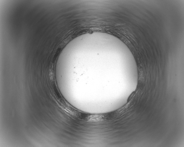 X0000068820179200605050952