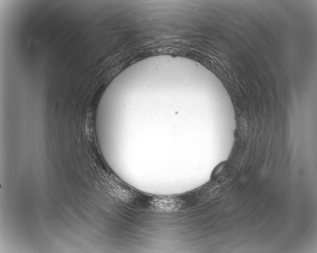 X0000068820181200605050952