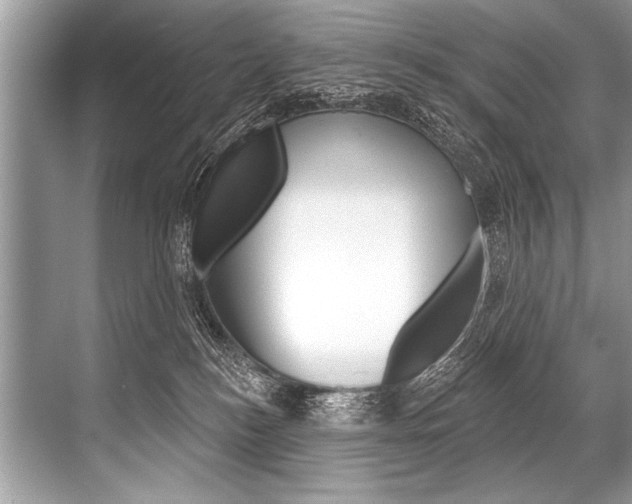 X0000068820184200605050952