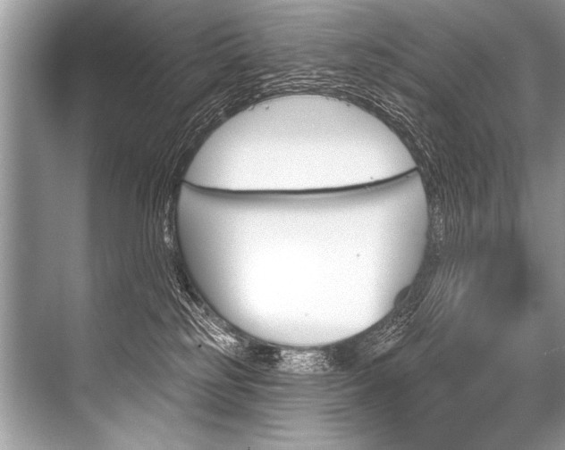 X0000068820185200605050952