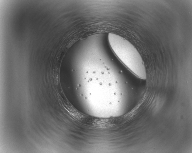 X0000068820186200605050952