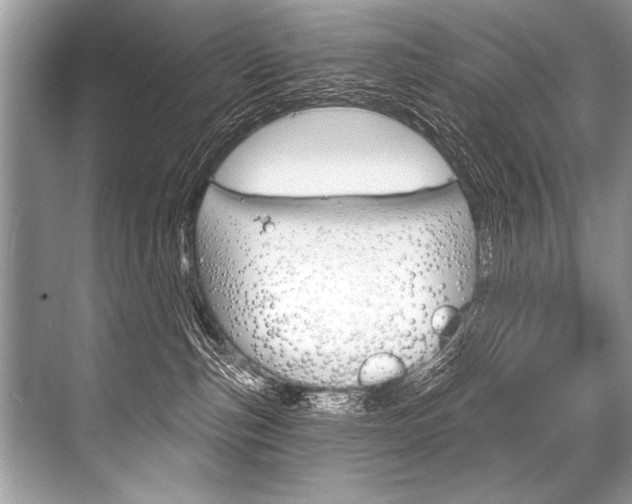 X0000068820187200605050952