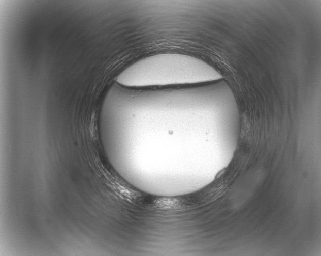 X0000068820189200605050952