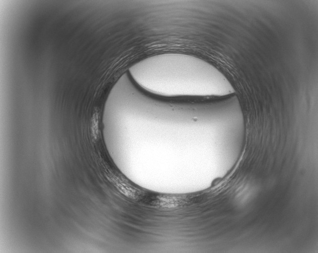 X0000068820190200605050952