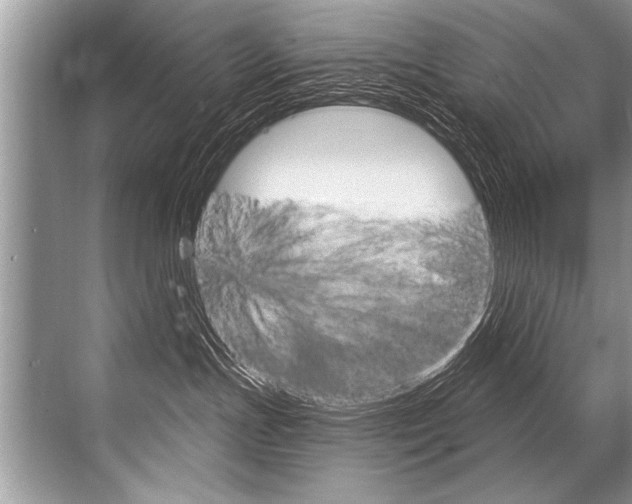 X0000068820191200605050952