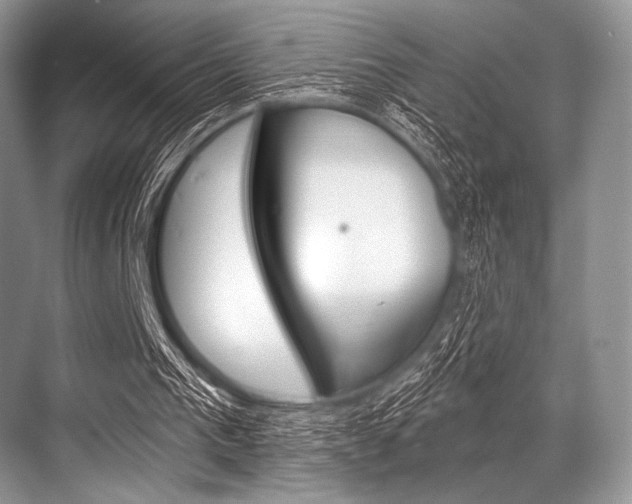 X0000068820193200605050951