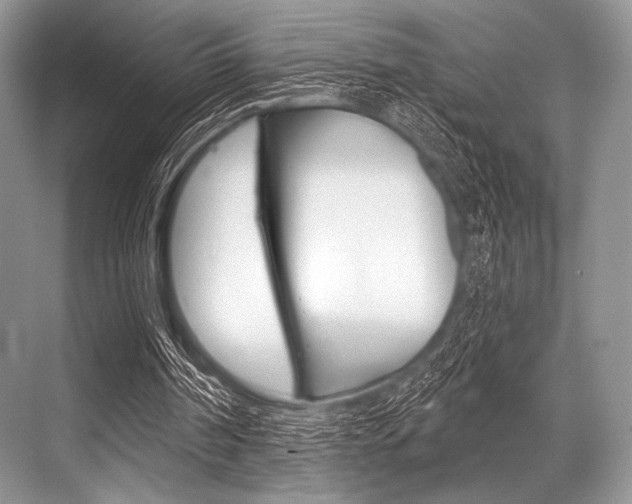 X0000068820194200605050951