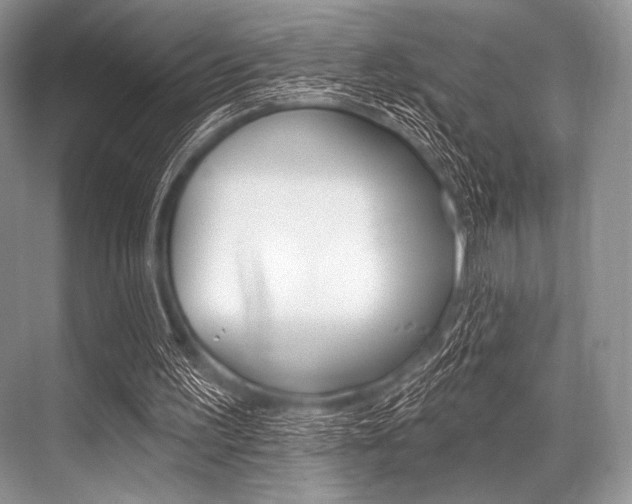 X0000068820195200605050951