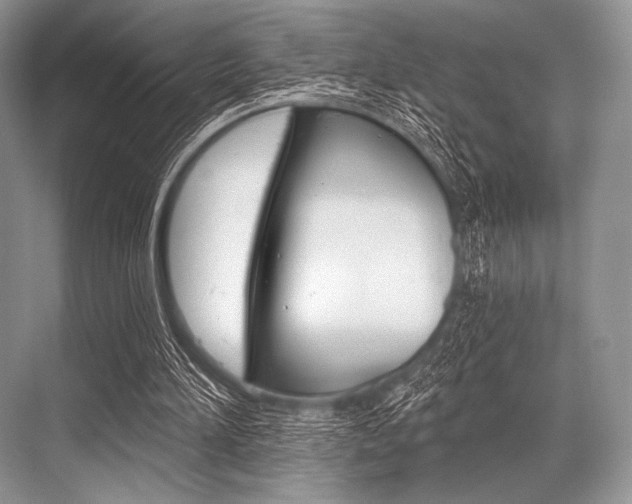 X0000068820196200605050951