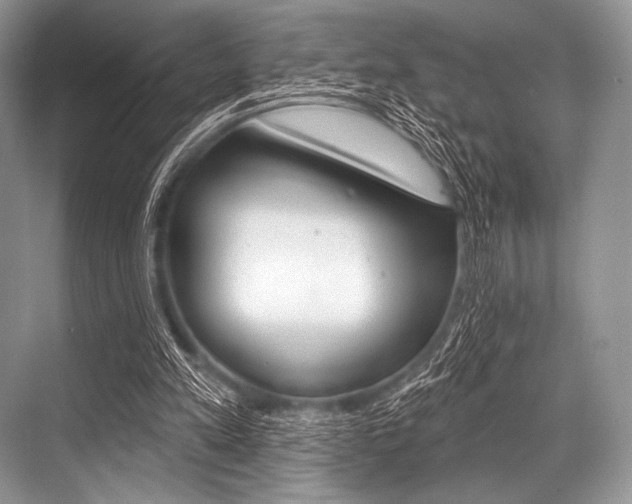 X0000068820197200605050951