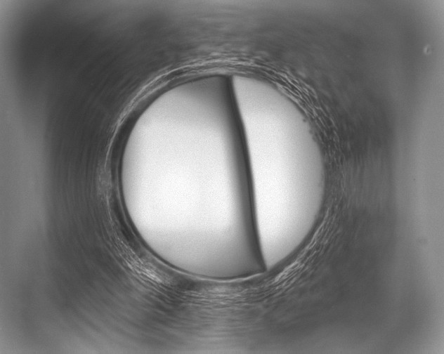 X0000068820198200605050951