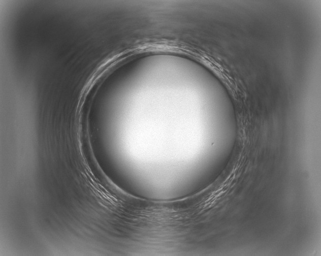 X0000068820199200605050951