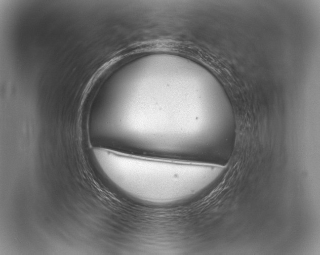 X0000068820200200605050951