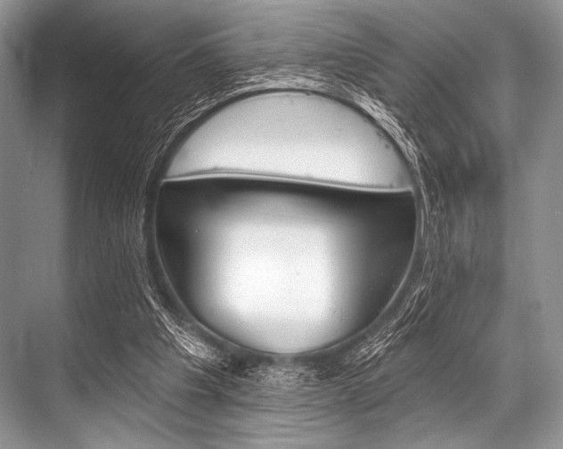 X0000068820201200605050951