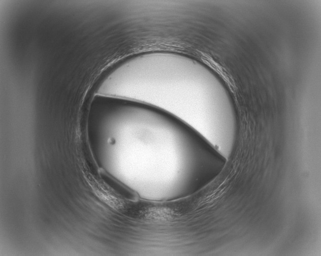 X0000068820203200605050951