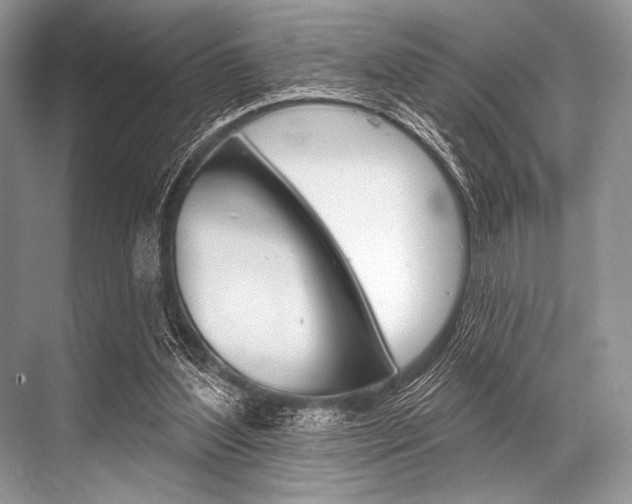 X0000068820204200605050951