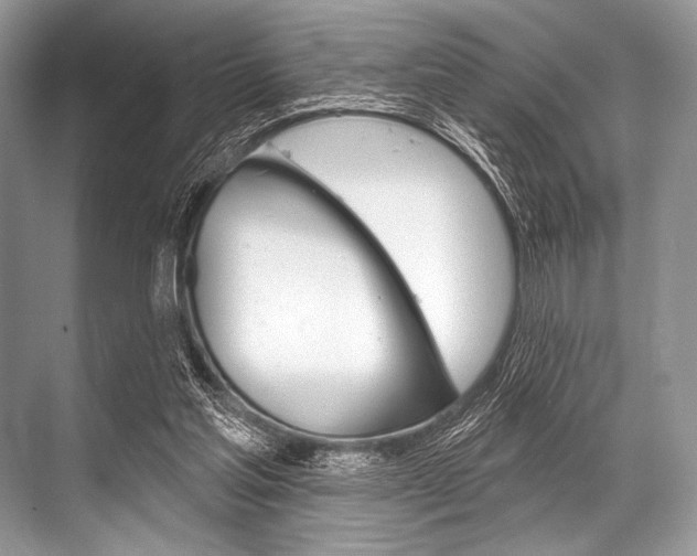 X0000068820205200605050951