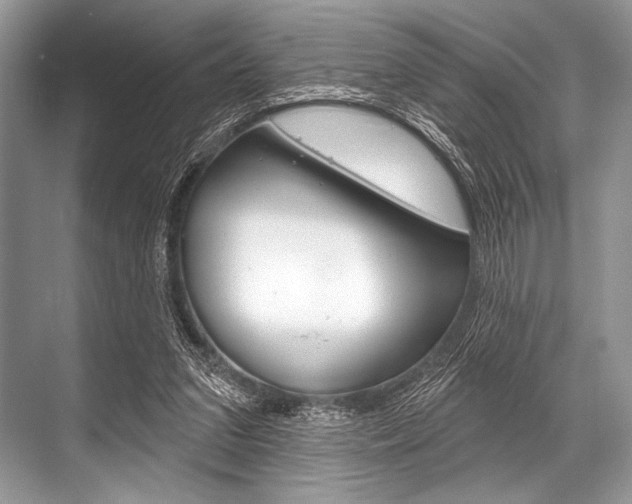 X0000068820207200605050951