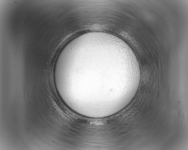 X0000068820208200605050951