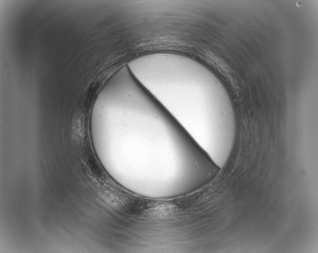 X0000068820210200605050951