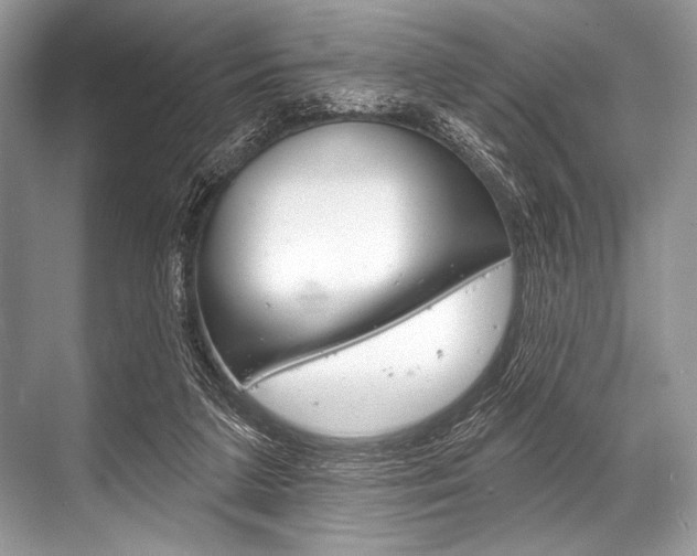 X0000068820211200605050951