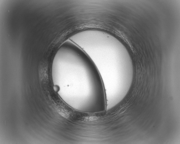 X0000068820212200605050951