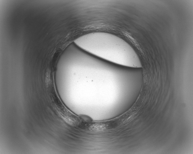 X0000068820213200605050951