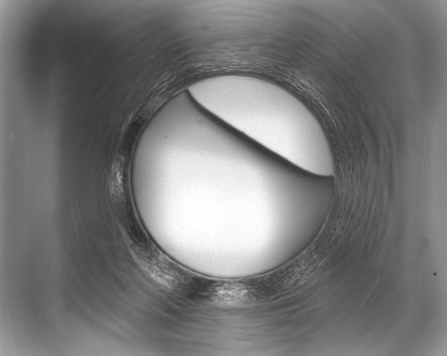 X0000068820214200605050951