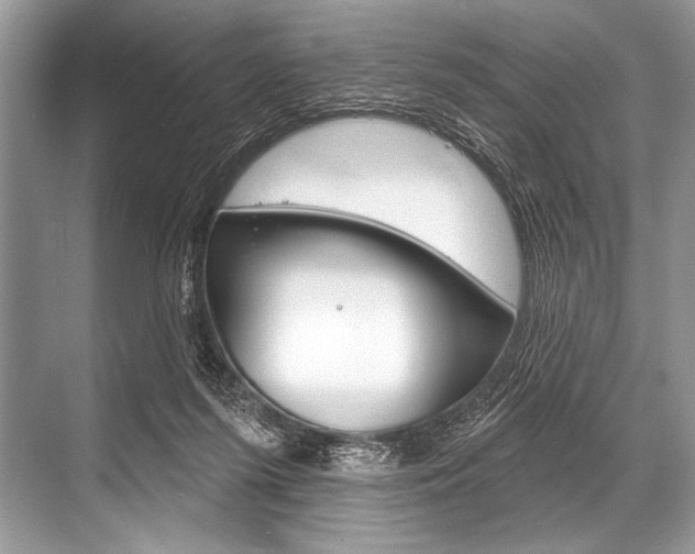 X0000068820215200605050951