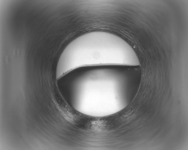 X0000068820216200605050951