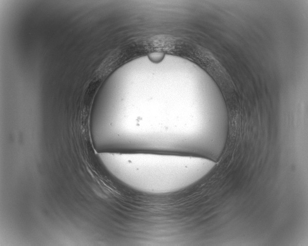 X0000068820218200605050951