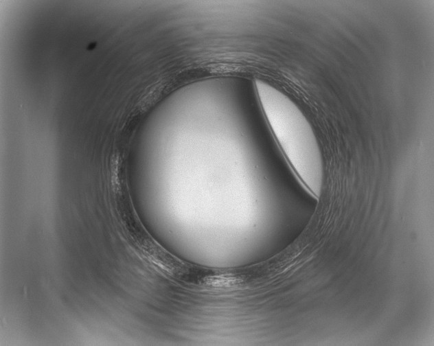 X0000068820219200605050950