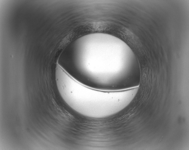 X0000068820220200605050950