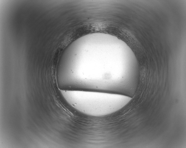 X0000068820222200605050950