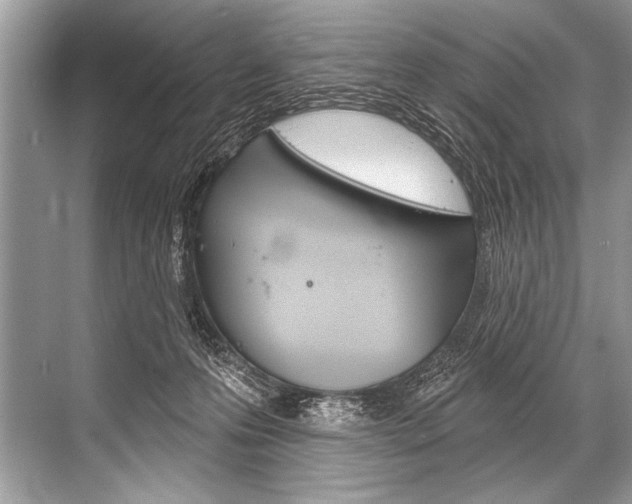 X0000068820223200605050950