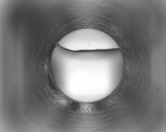 X0000068820226200605050950