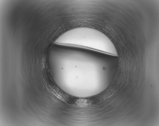 X0000068820227200605050950