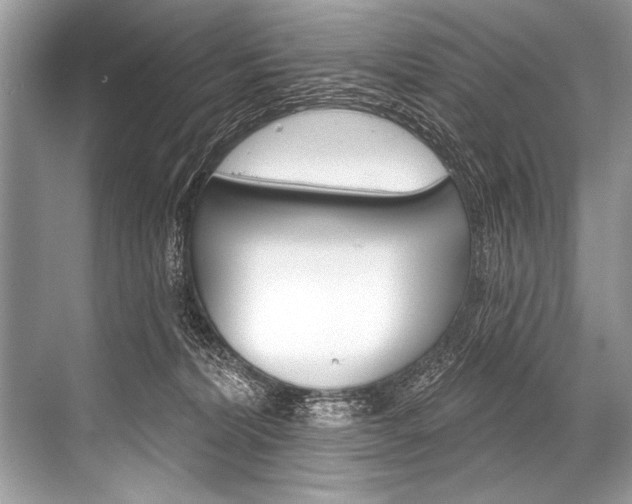 X0000068820228200605050950