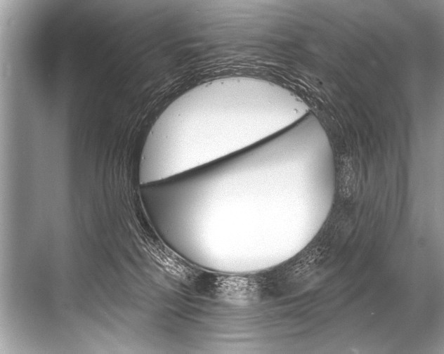 X0000068820230200605050950